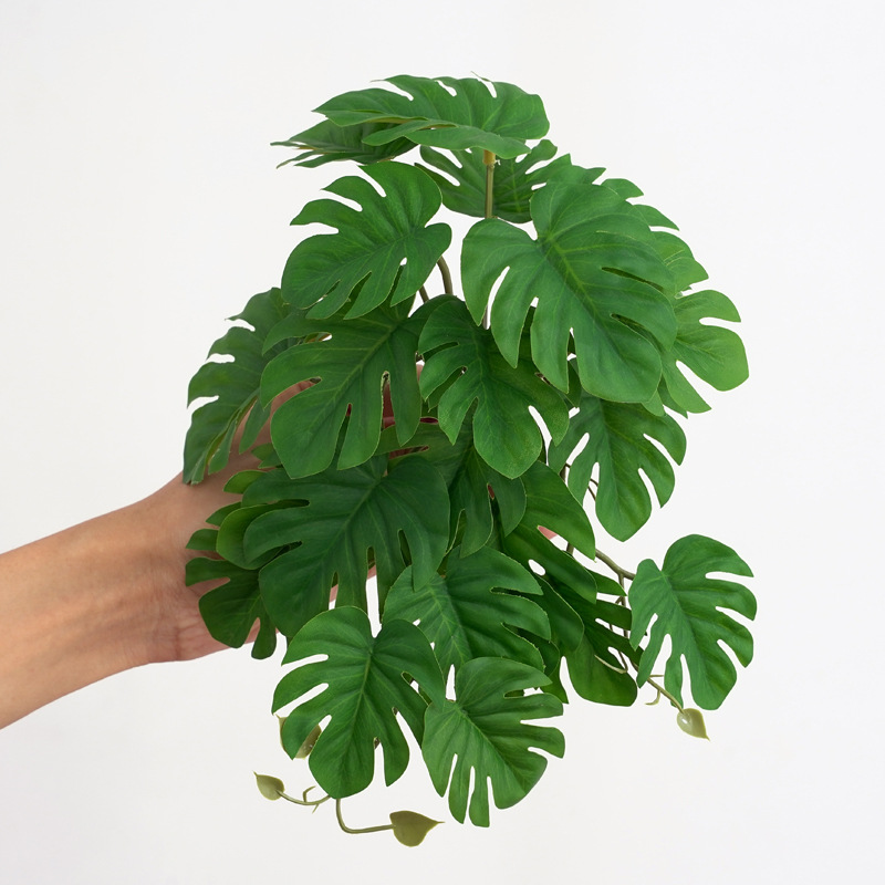 Reptielenplanten voor terrariu - Terrarium Moss Art recensie en prijs