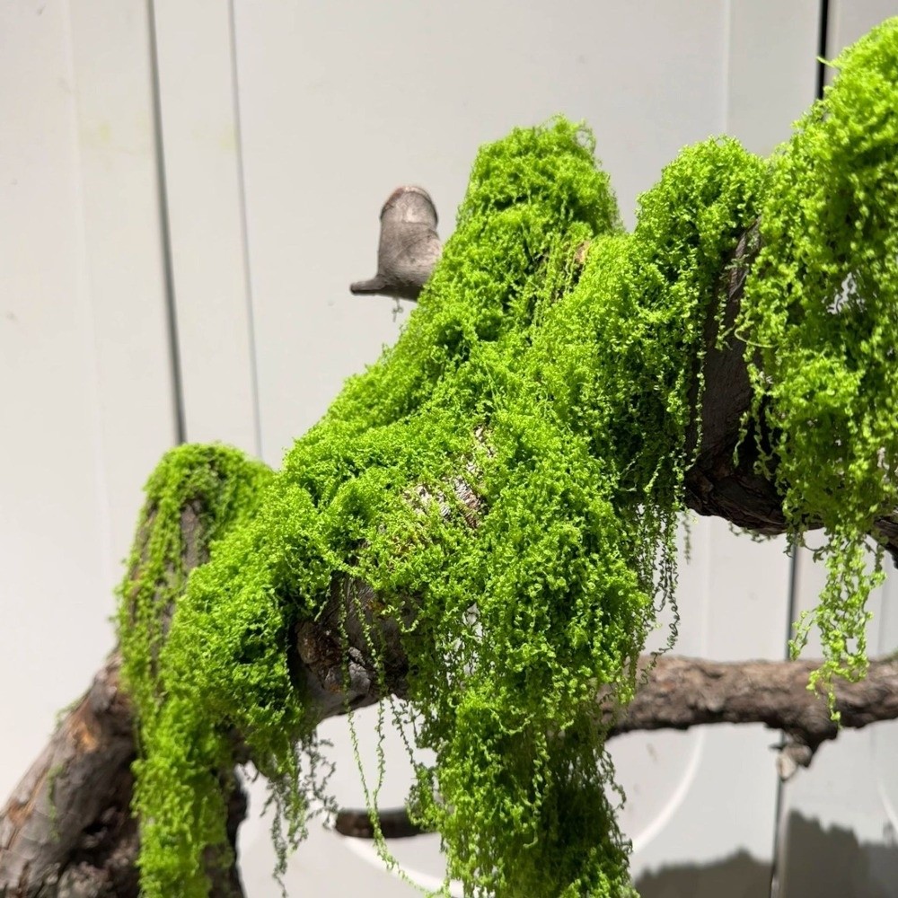 Polyester Kunstmos Planten DIY - Terrarium Moss Art recensie en prijs