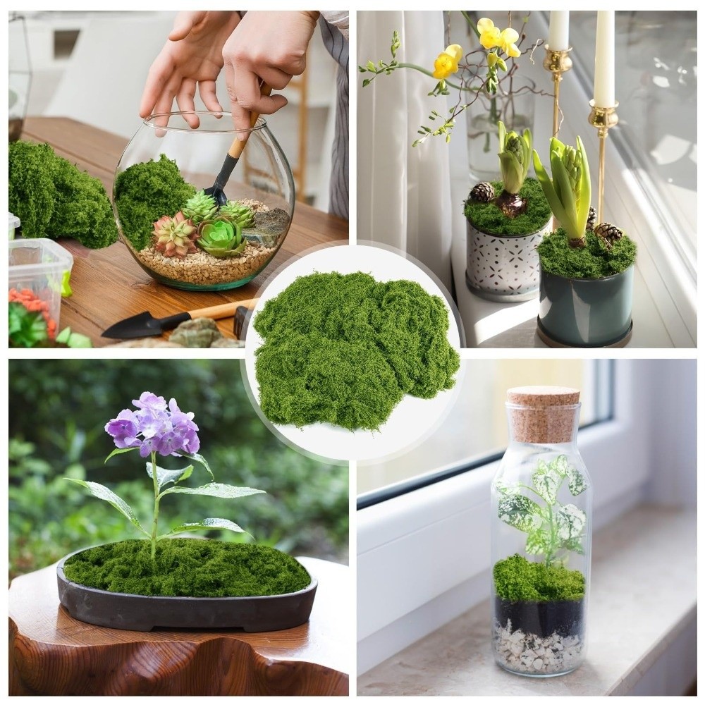 Polyester Kunstmos Planten DIY - Terrarium Moss Art recensie en prijs